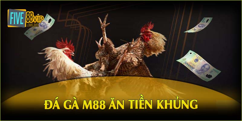 Đá gà M88 ăn tiền khủng 