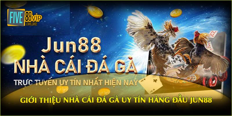 Giới thiệu nhà cái đá gà uy tín hàng đầu Jun88