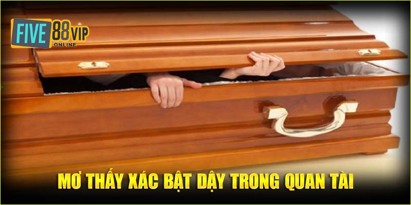 Mơ thấy có xác chết bật dậy trong quan tài 