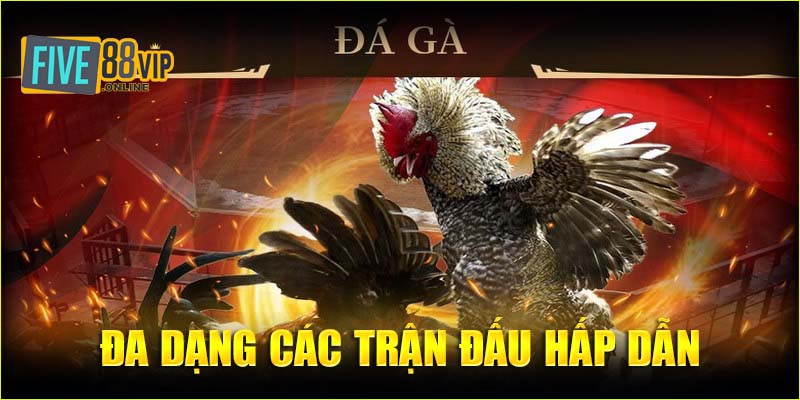 Đa dạng các trận đấu hấp dẫn