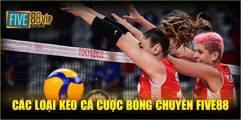 Các loại kèo cá cược bóng chuyền Five88