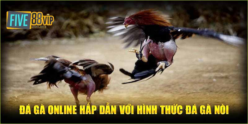 Đá gà online hấp dẫn với hình thức đá gà nòi