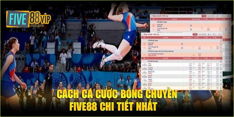 Cách cá cược bóng chuyền Five88 chi tiết nhất