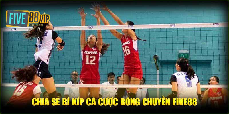 Chia sẻ bí kíp cá cược bóng chuyền Five88